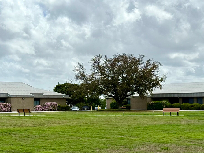 exterior of palmetto lowcountry
